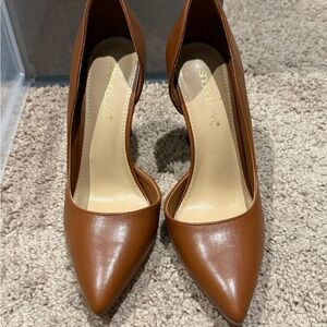 Classic Pointed-Toe Women’s Pumps in Brown